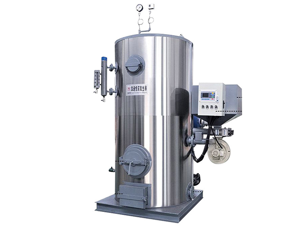 LHG Biomass Steam Generator