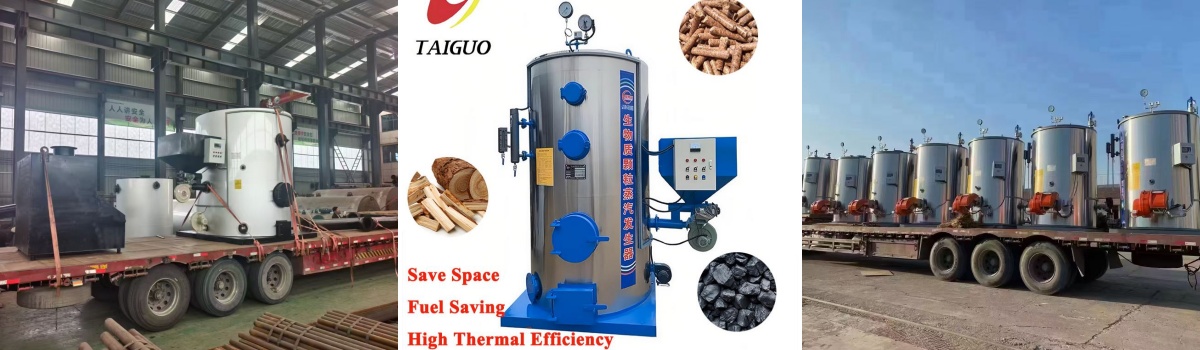 LHG biomass steam generator.jpg